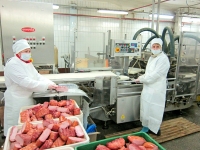 Процесс упаковки деликатесов в вакуум на автоматизированной установке Cryovac